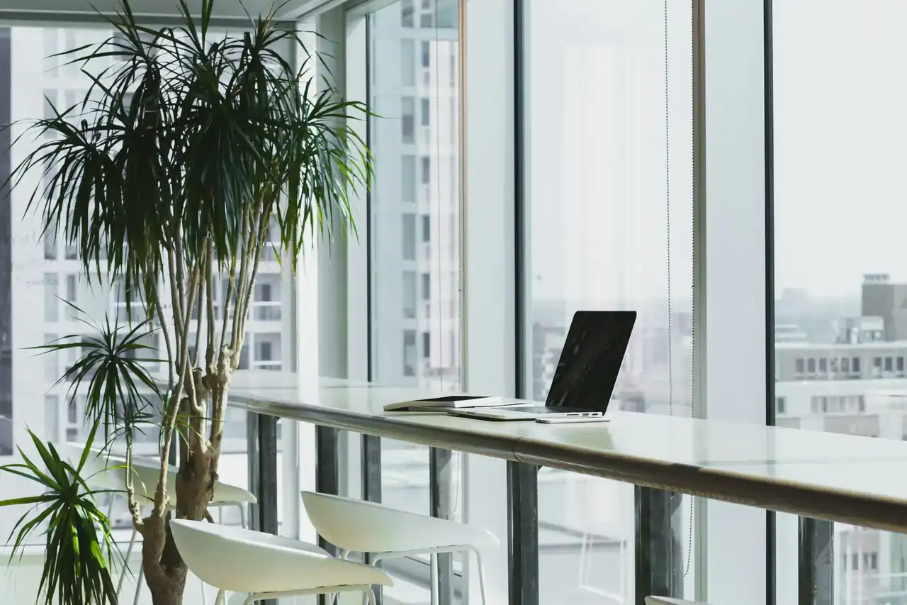 Morning light over a quiet desk